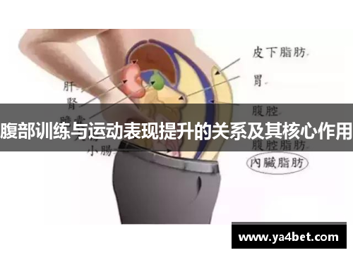 腹部训练与运动表现提升的关系及其核心作用